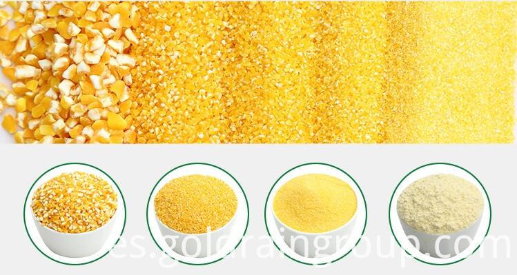 alimentos de salida output foods